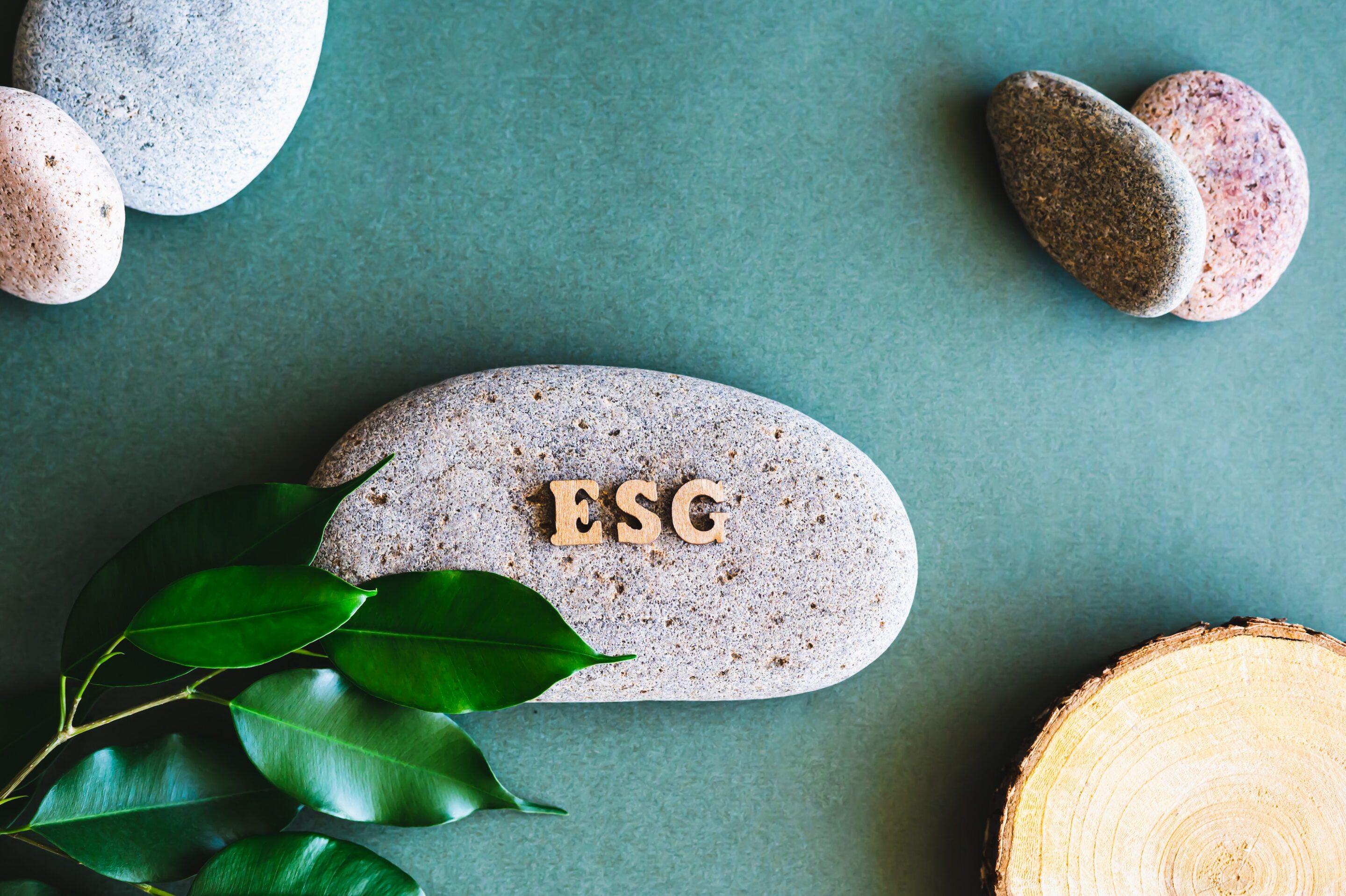 esg concept wooden letters, stones, trunck of tree and leaves on a green background top view