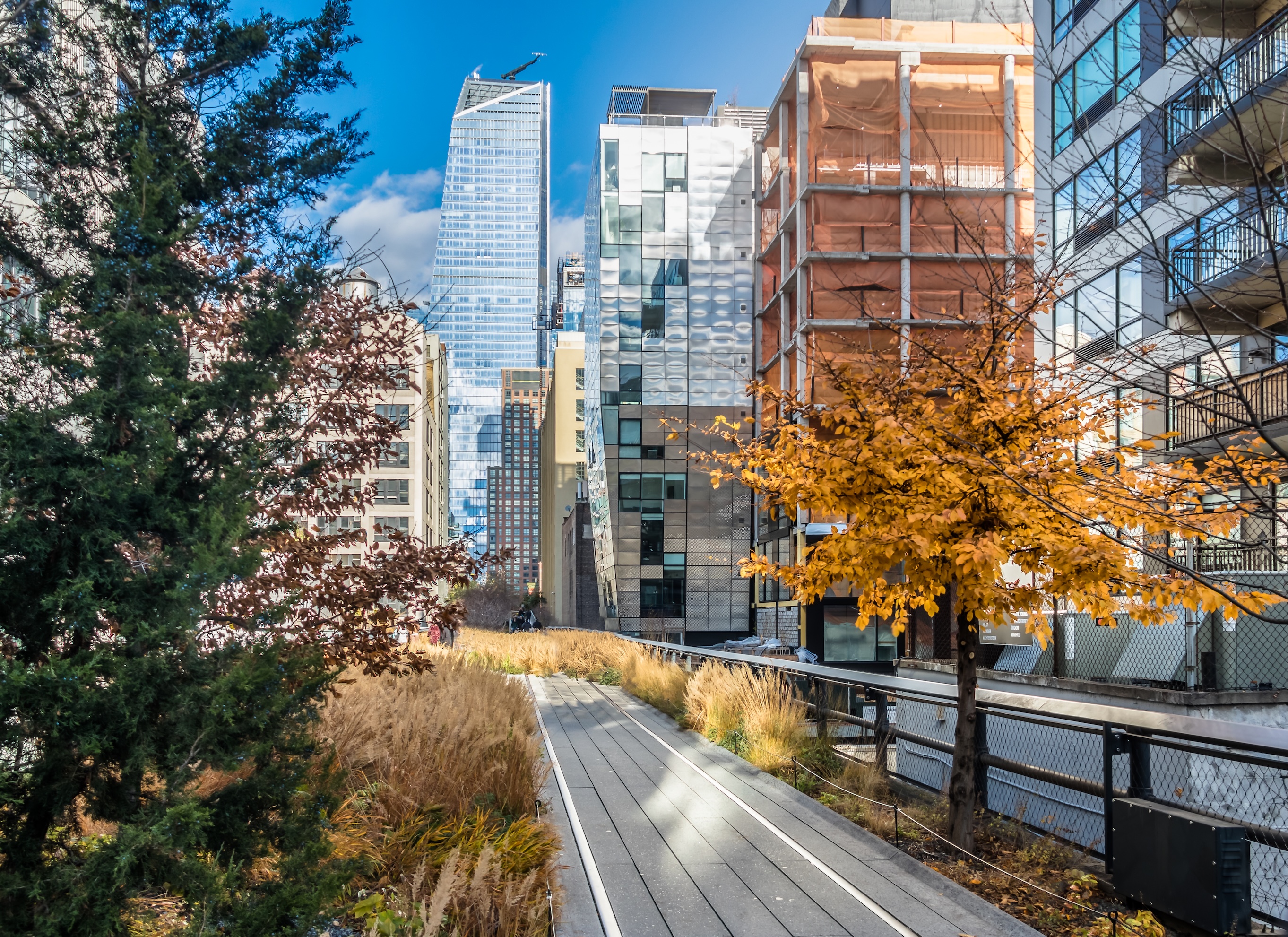 high line park new york, usa