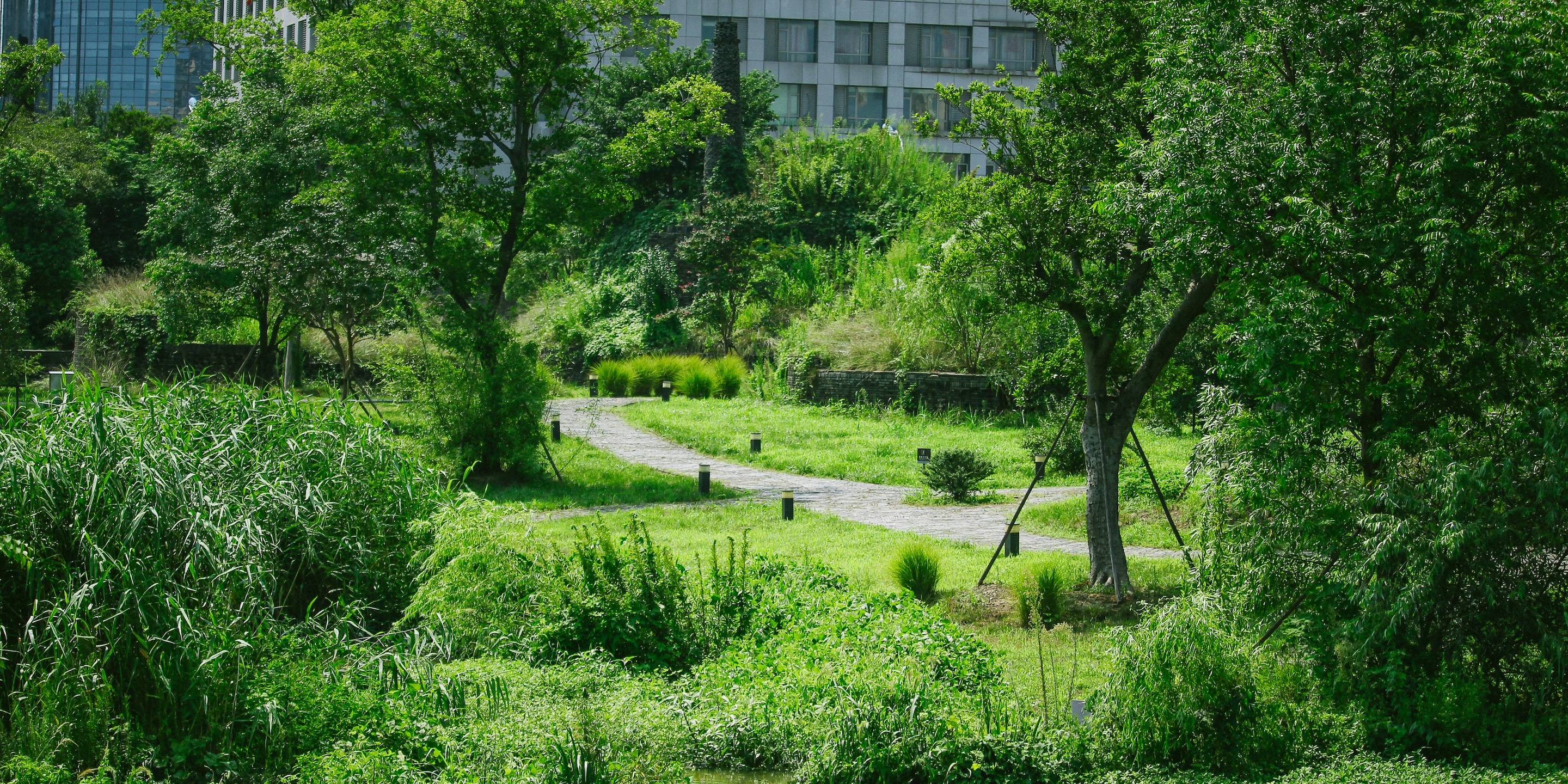 jiawei qian ldxgccpfwla unsplash