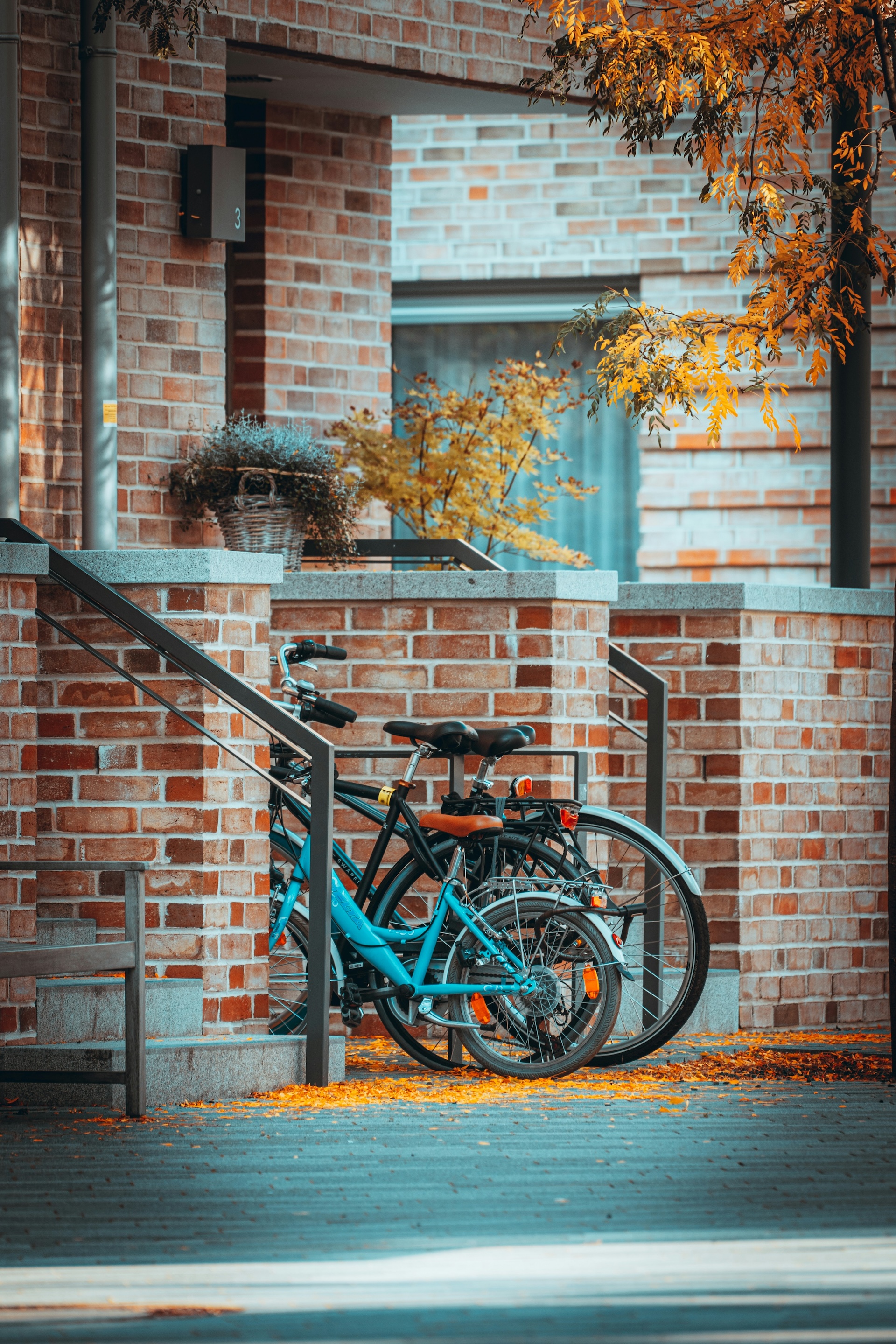 lennart schulz nb obkidosc unsplash