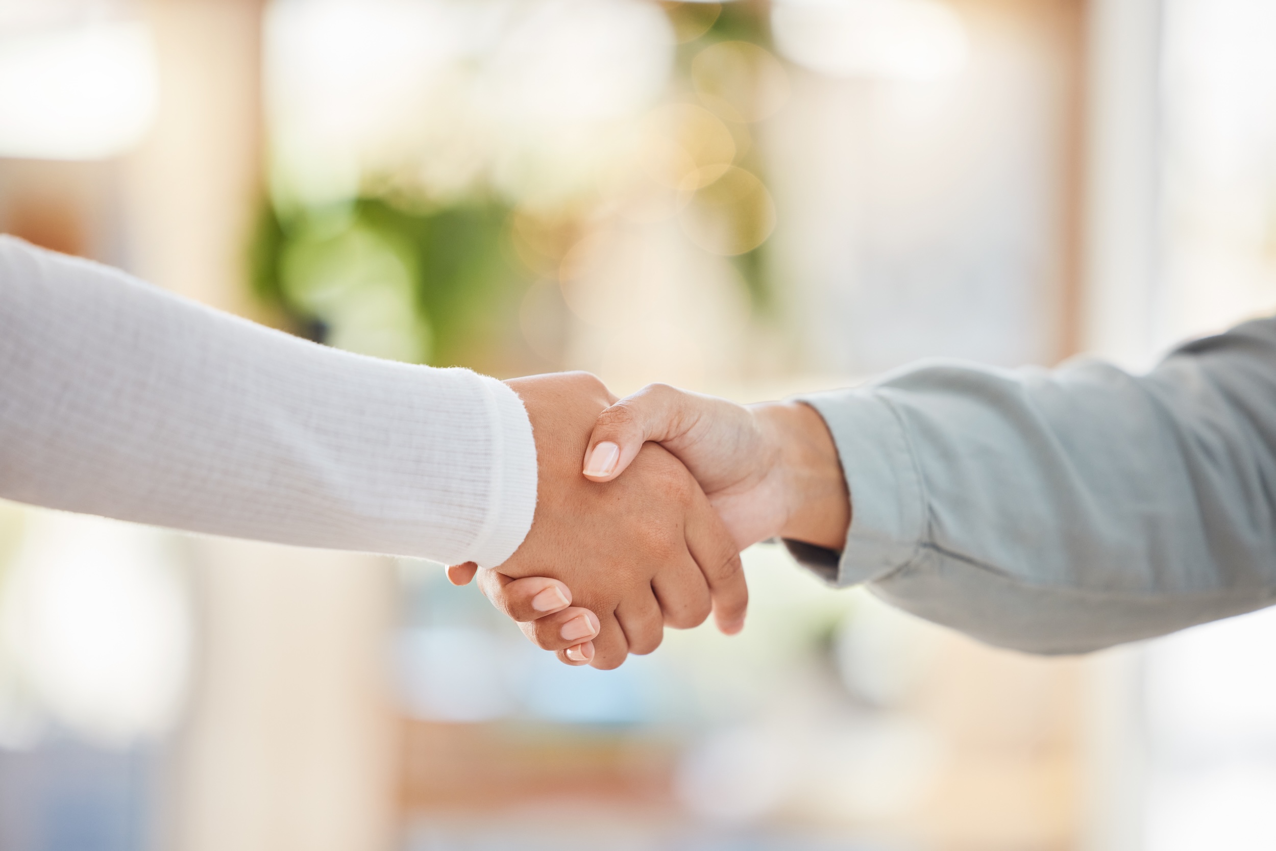 business people shaking hands, meeting and consulting, networking and hiring agreement, partnership
